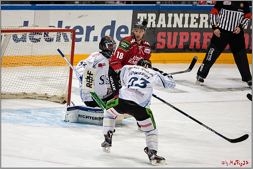 Koelner Haie - Straubing Tigers, 03.10.2016